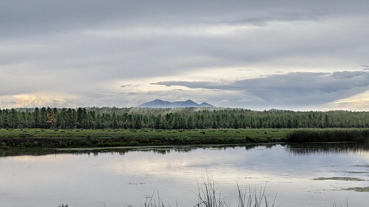 Отель Backland Вильямс Экстерьер фото
